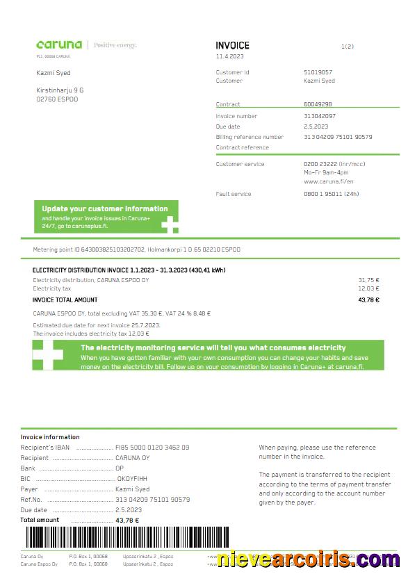 FINLAND CARUNA utility bill